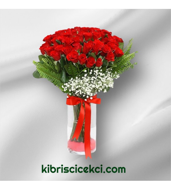 Vazoda 71 Kırmızı Gül Vazoda 71 Kırmızı Gül